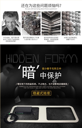 隱形地埋防盜天線_隱蔽式地埋防盜報警系統(tǒng)圖